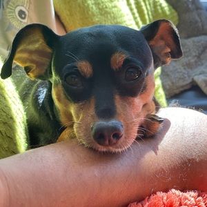 Meet your Posher, Katie